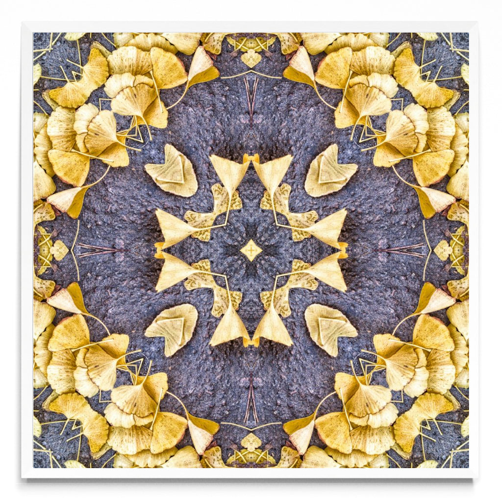 OTOÑAL-GINKO 1 - Cuadrado BL