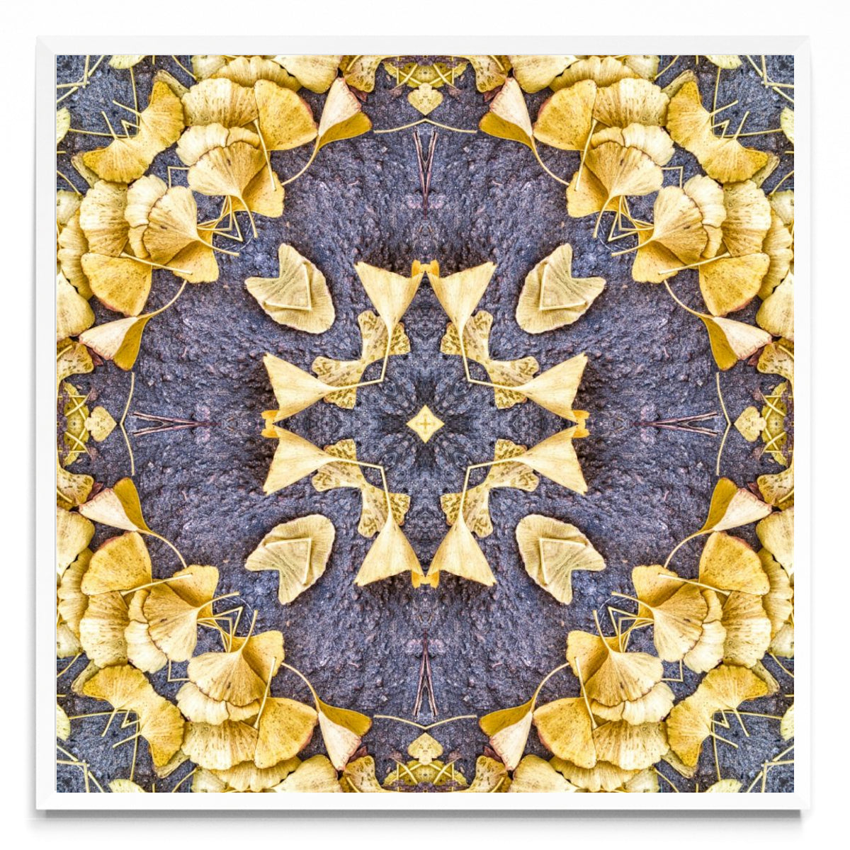 OTOÑAL-GINKO 1 - Cuadrado BL