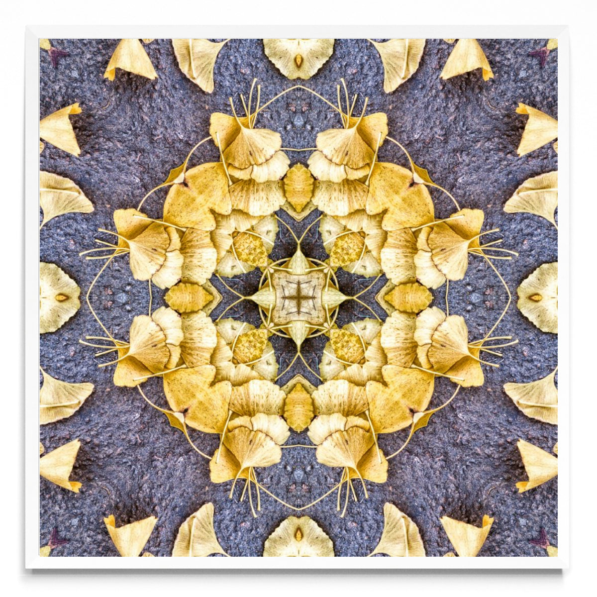 OTOÑAL-GINKO 2 - Cuadrado BL
