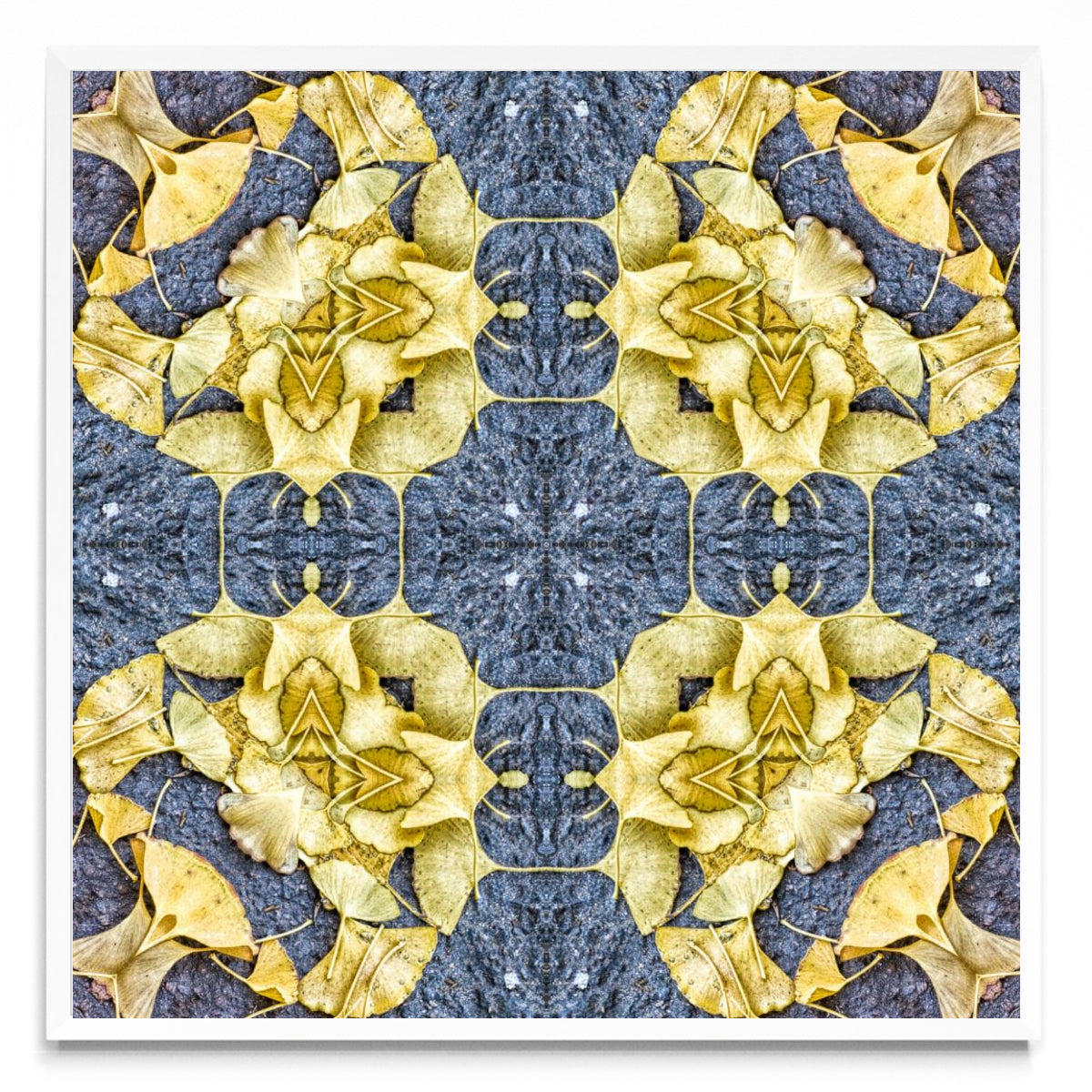 OTOÑAL-GINKO 3 - Cuadrado BL