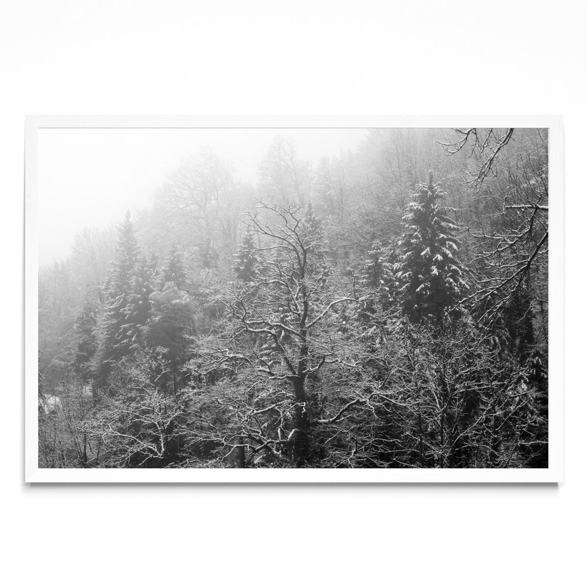Innsbruck - FotoH BL