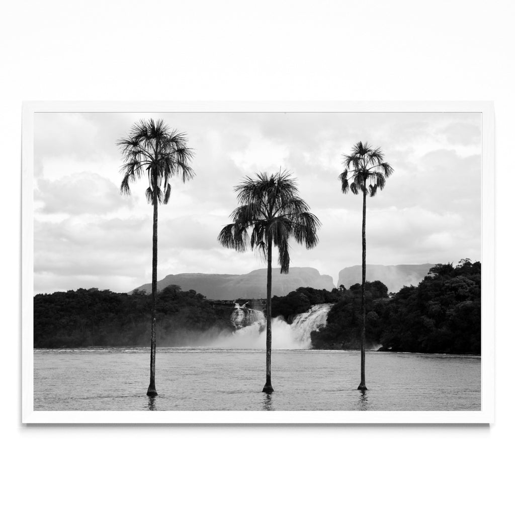 CANAIMA - FotoH BL