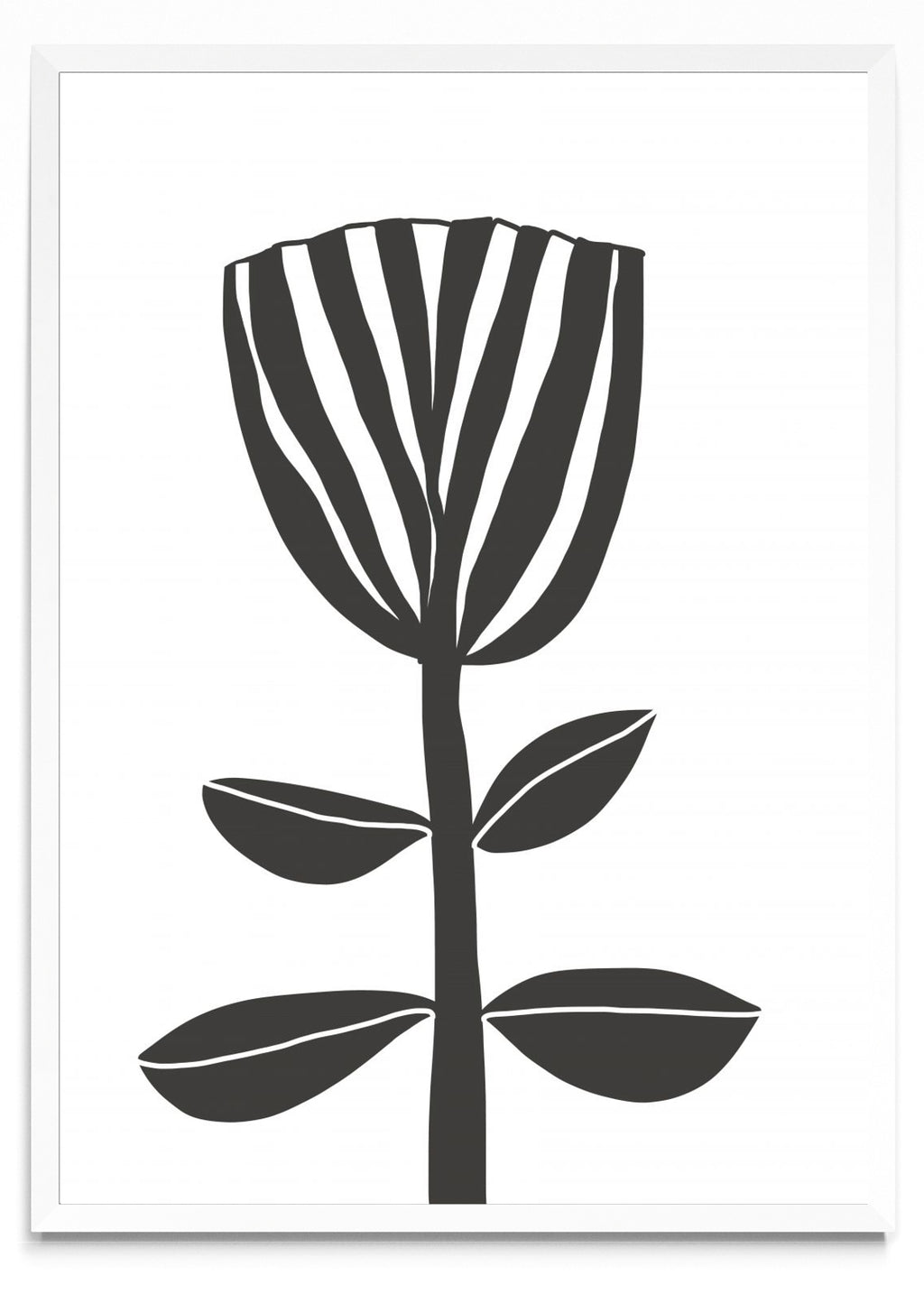 TULIPE - Retrato BL