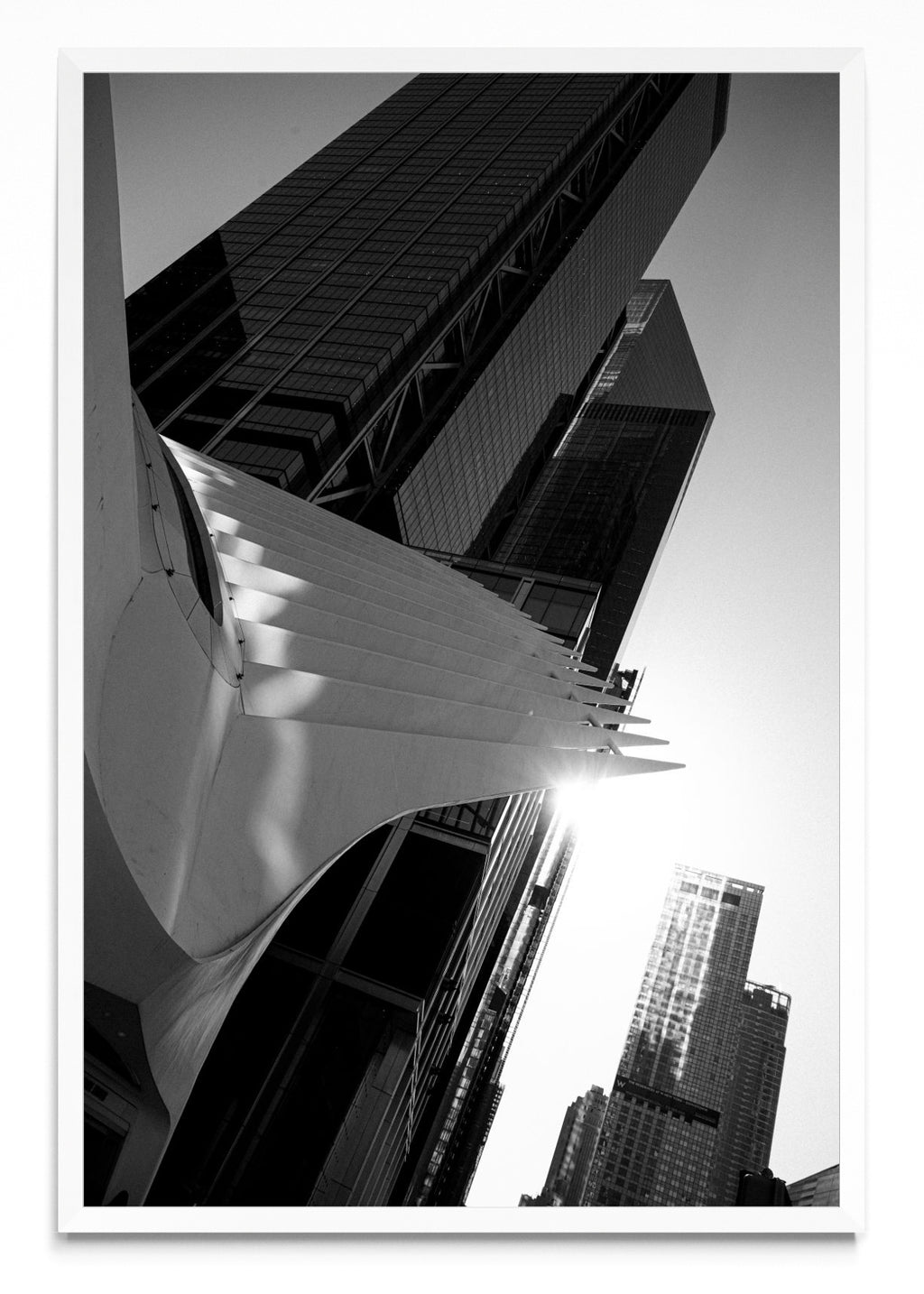 The Oculus II - FotoV BL