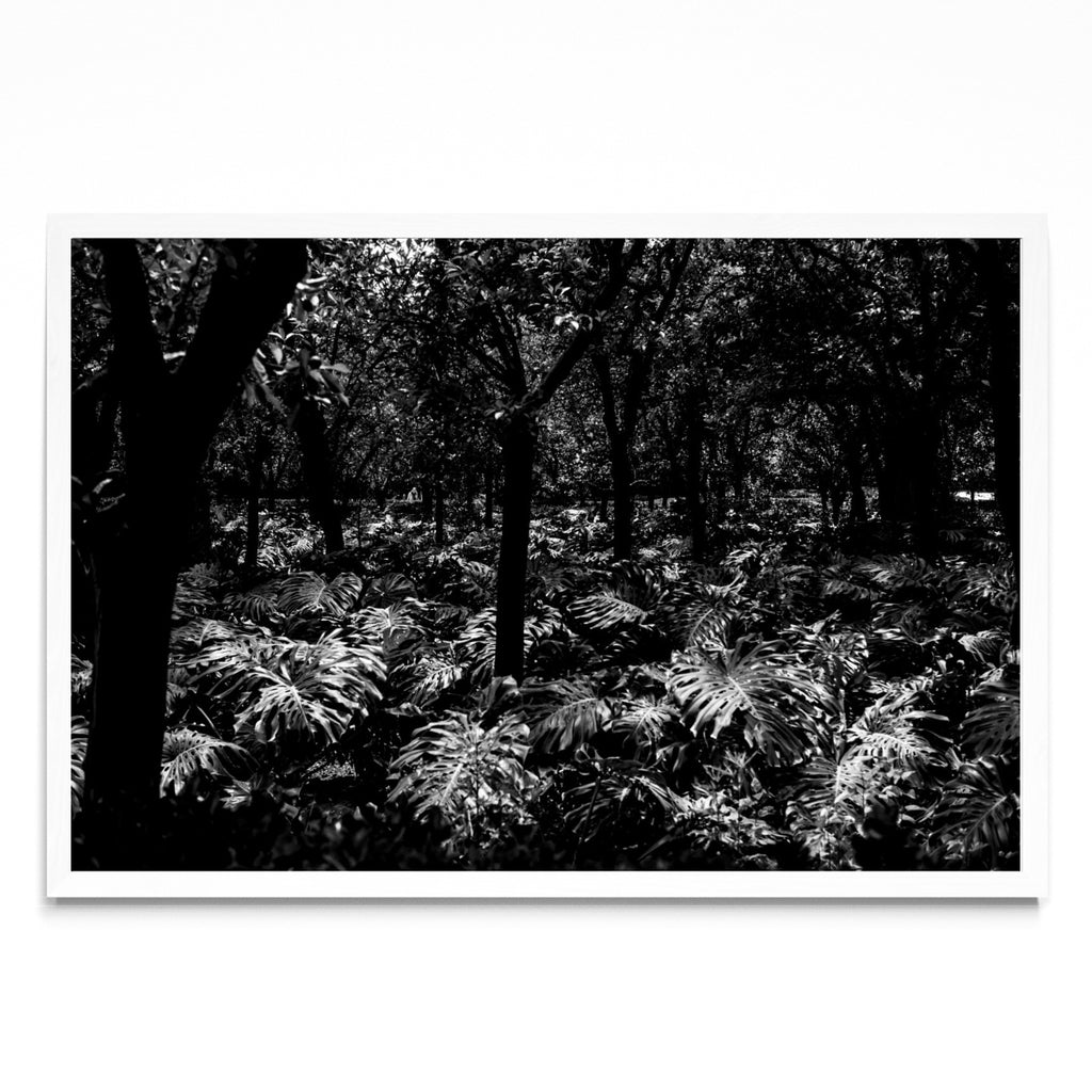 Jardines Reales - FotoH BL