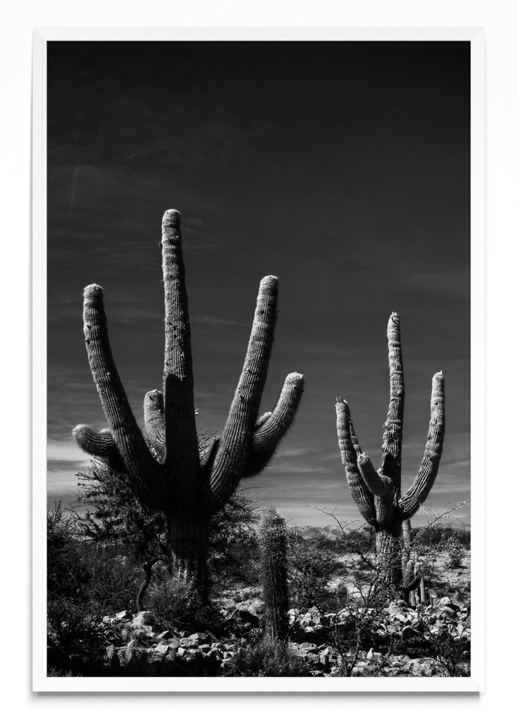 Manos Jujeñas - FotoV BL