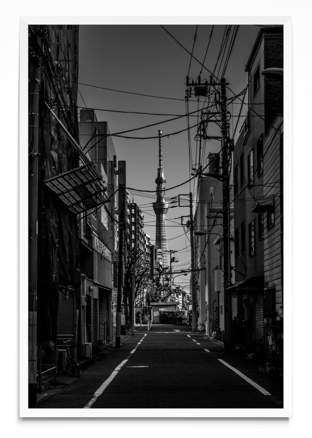 Sky Tree - FotoV BL
