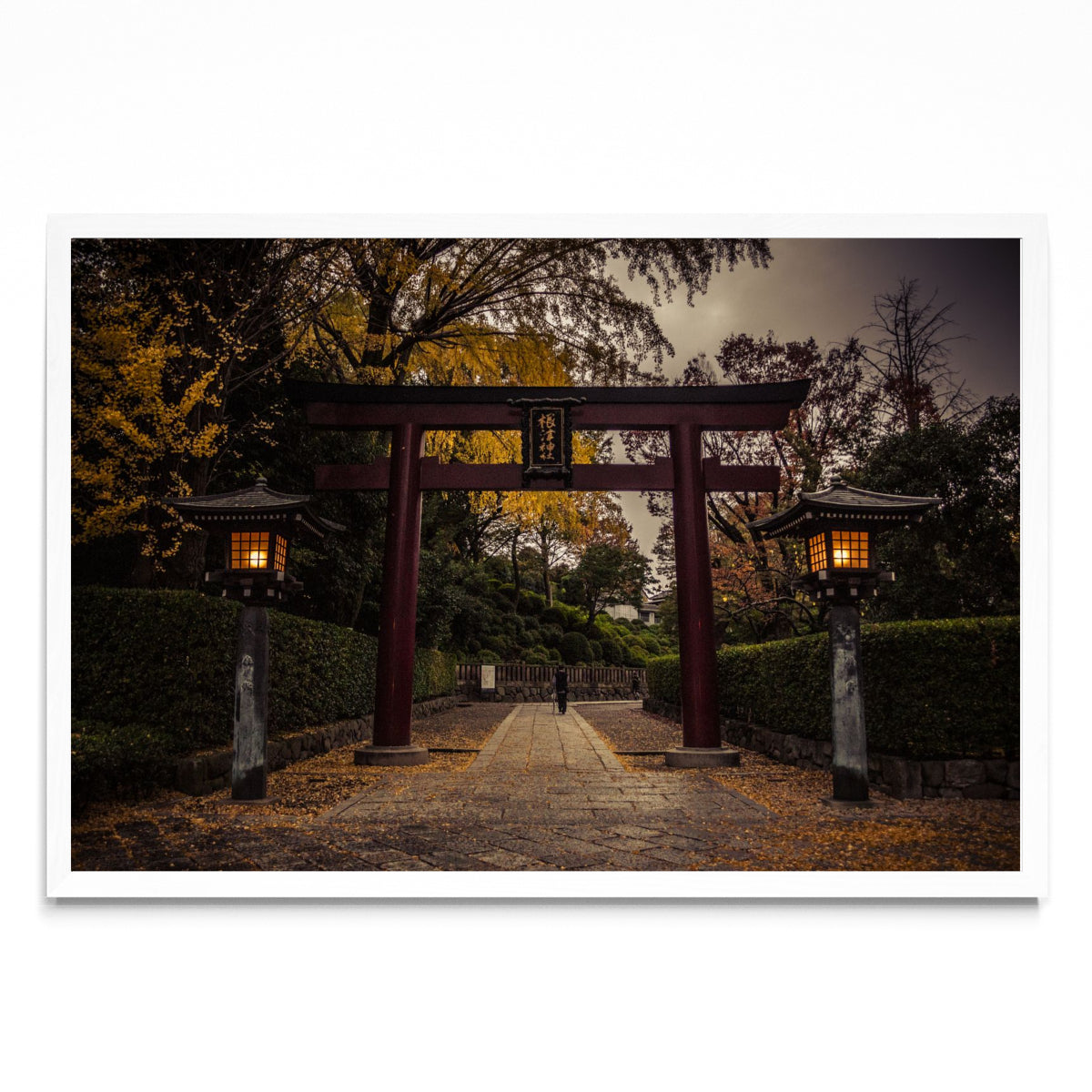 Nezu Shrine - FotoH BL