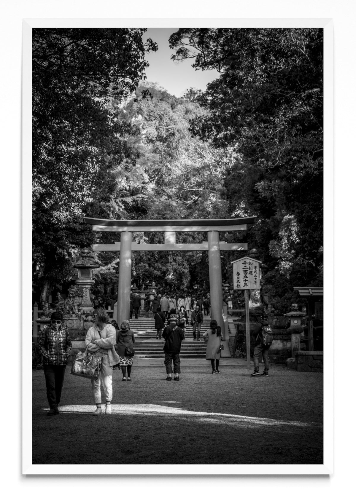 Nara torii - FotoV BL
