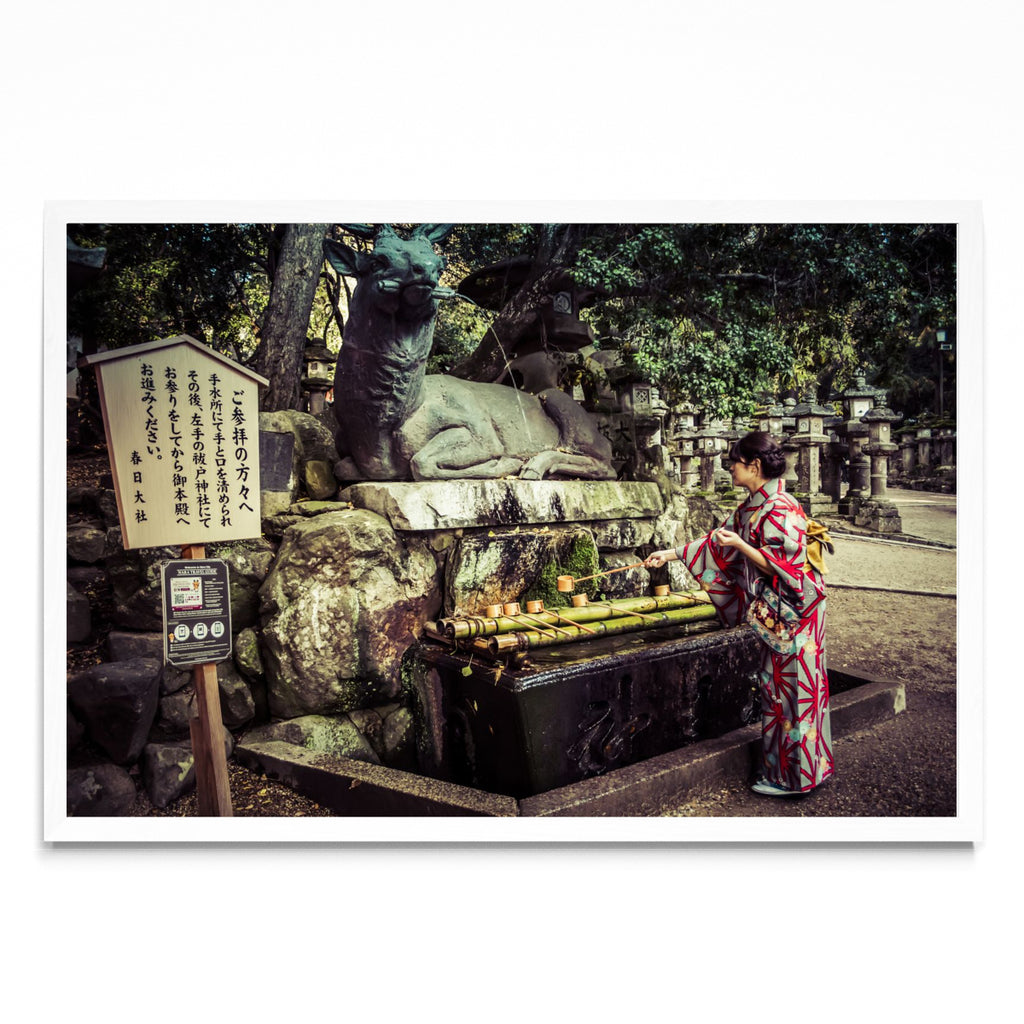 Tradición japonesa - FotoH BL