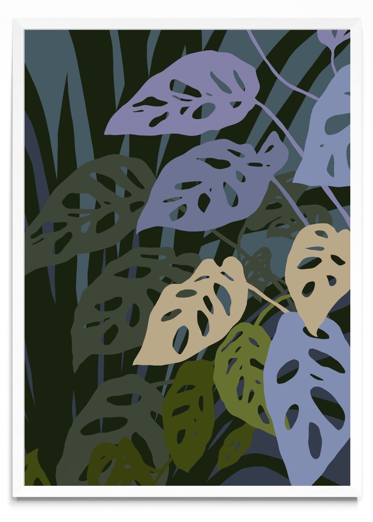 La monstera Adansonii - Retrato BL