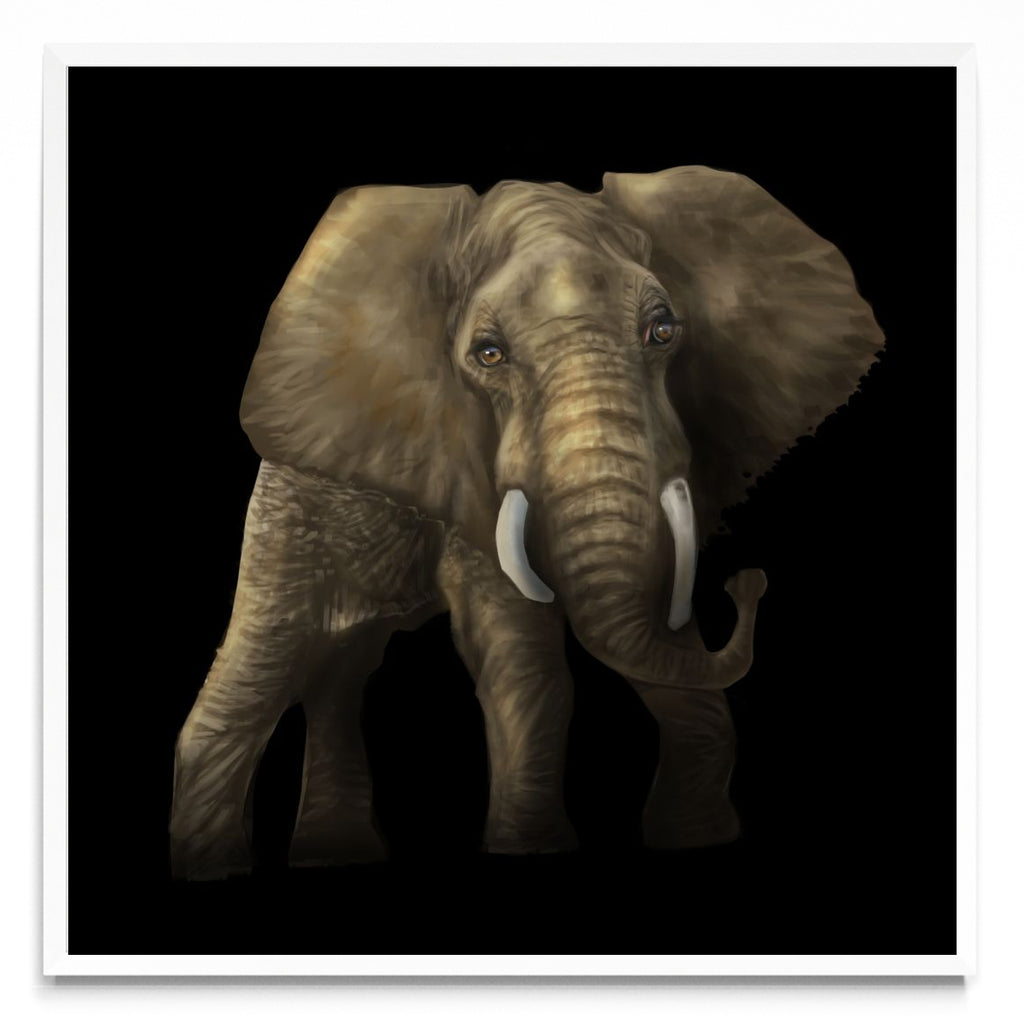 Tantor - Cuadrado BL