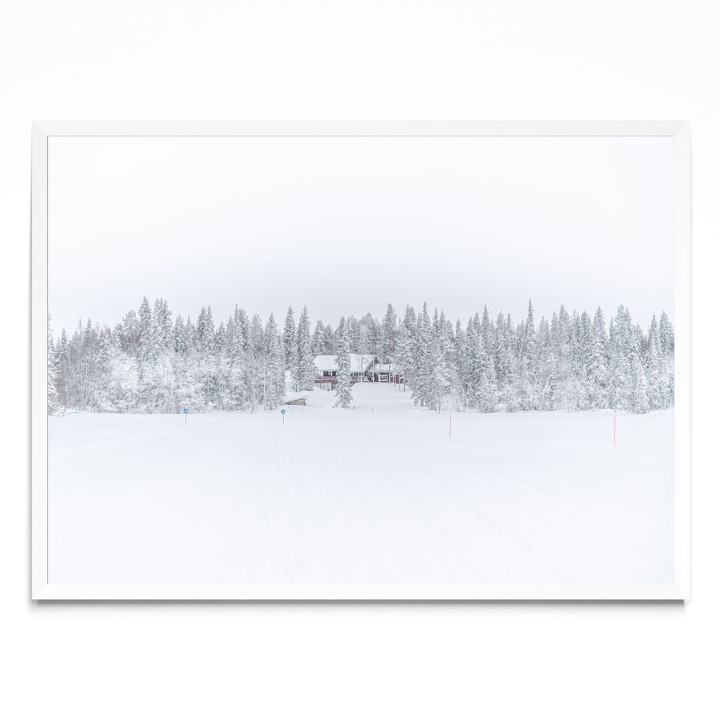 Lonely Winter - Paisaje BL
