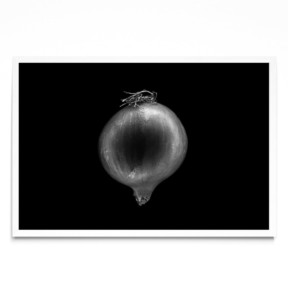 Black and white onion - FotoH BL