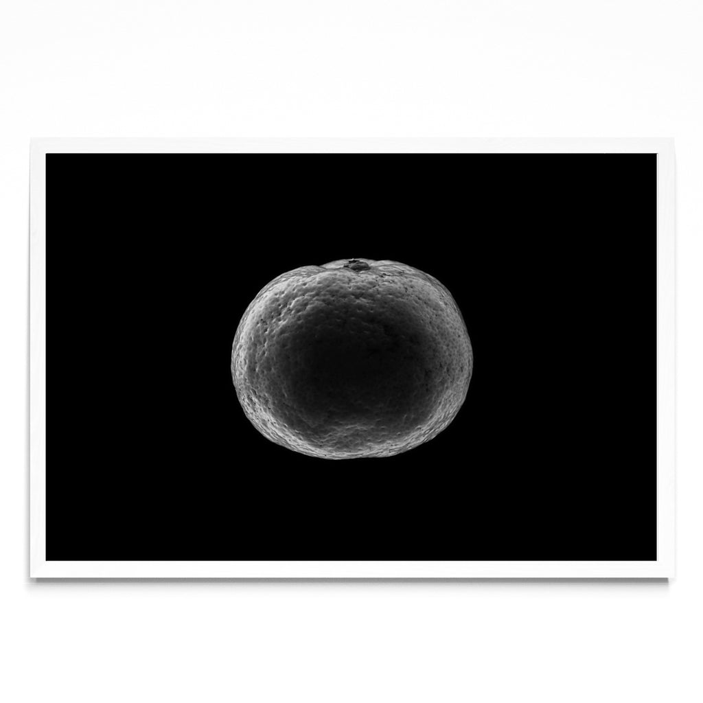 Black and white tangerine - FotoH BL