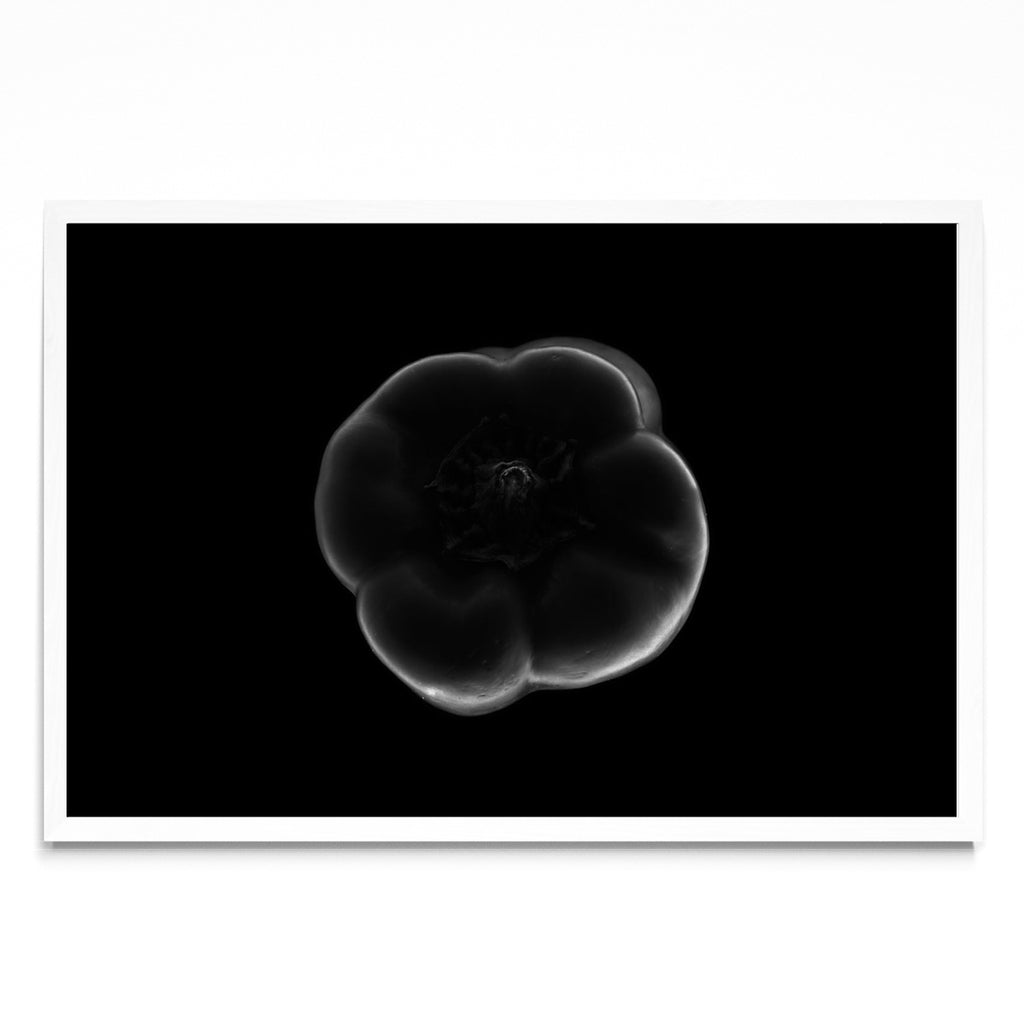Black and white bell pepper - FotoH BL