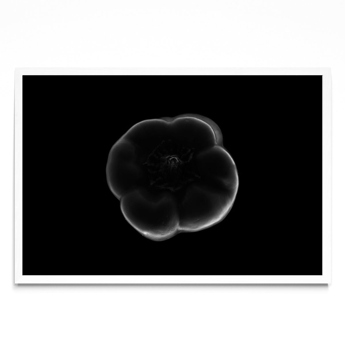Black and white bell pepper - FotoH BL