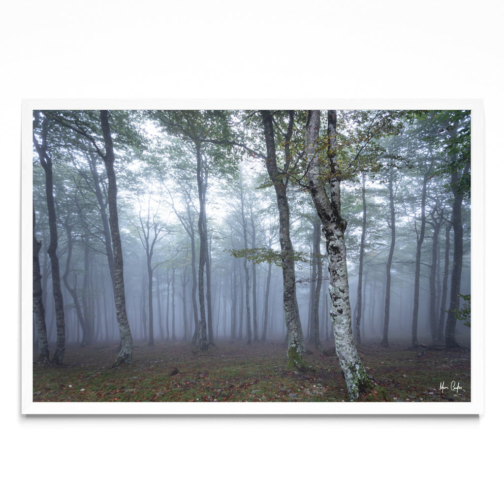 POR ALGUM BOSQUE NA FRANÇA - FotoH BL