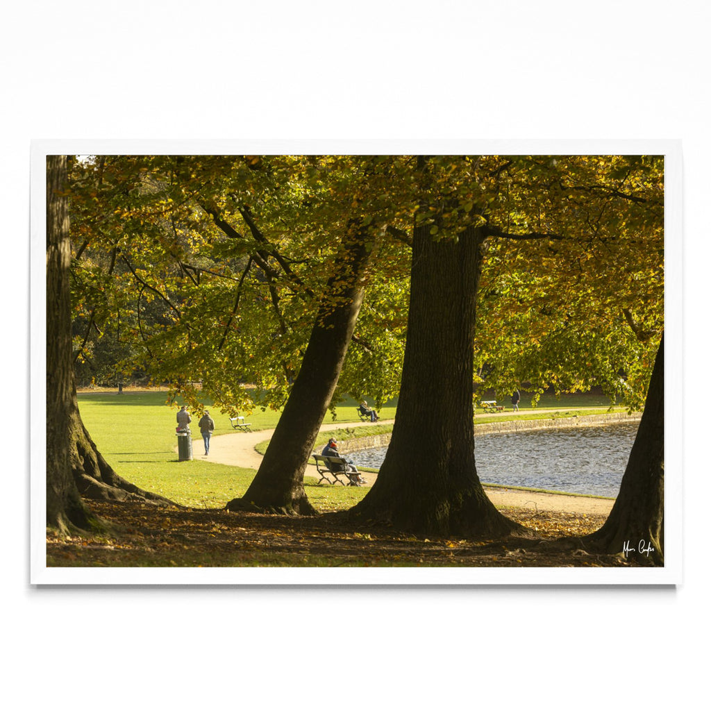 OTOÑO EN UN PARQUE BELGA - FotoH BL