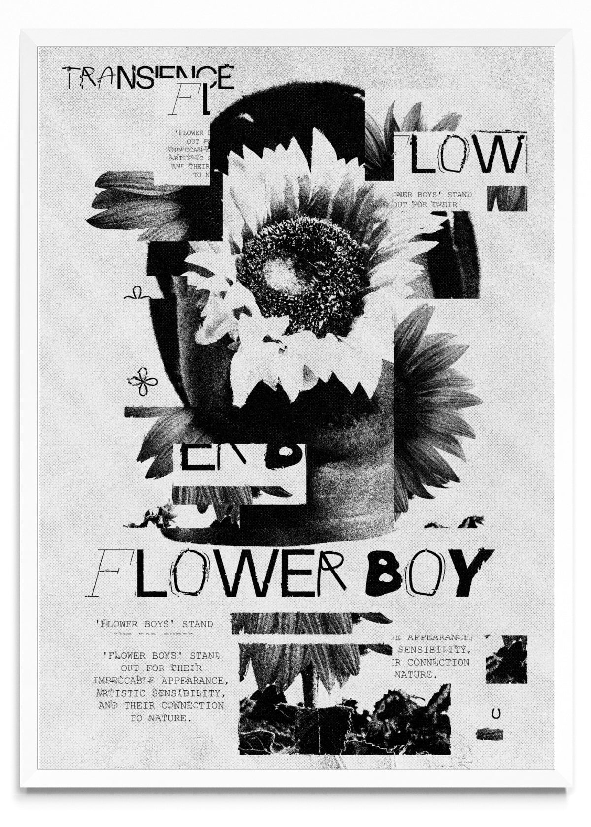 Flower Boy - Retrato BL