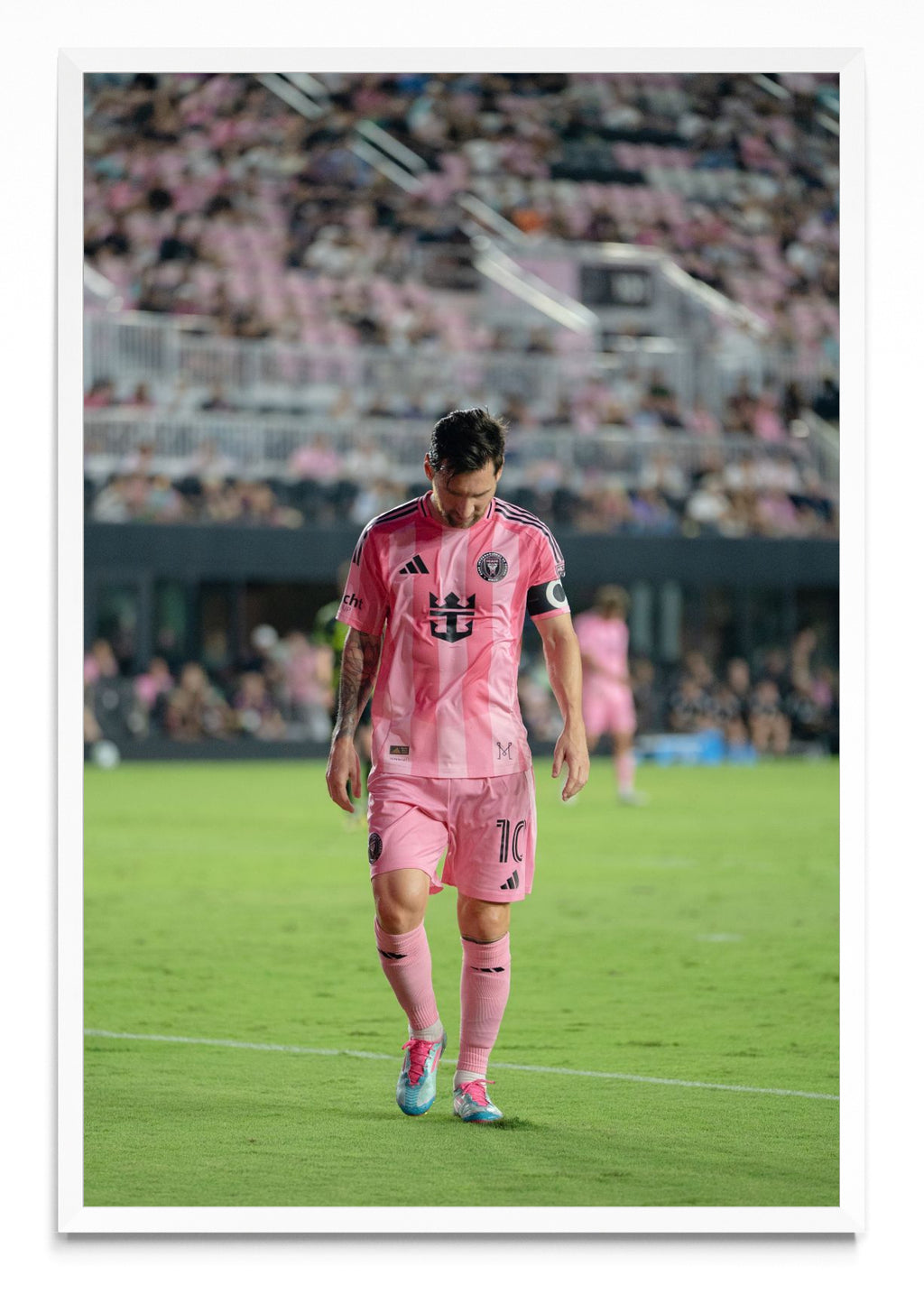 La calma del campeón - FotoV BL