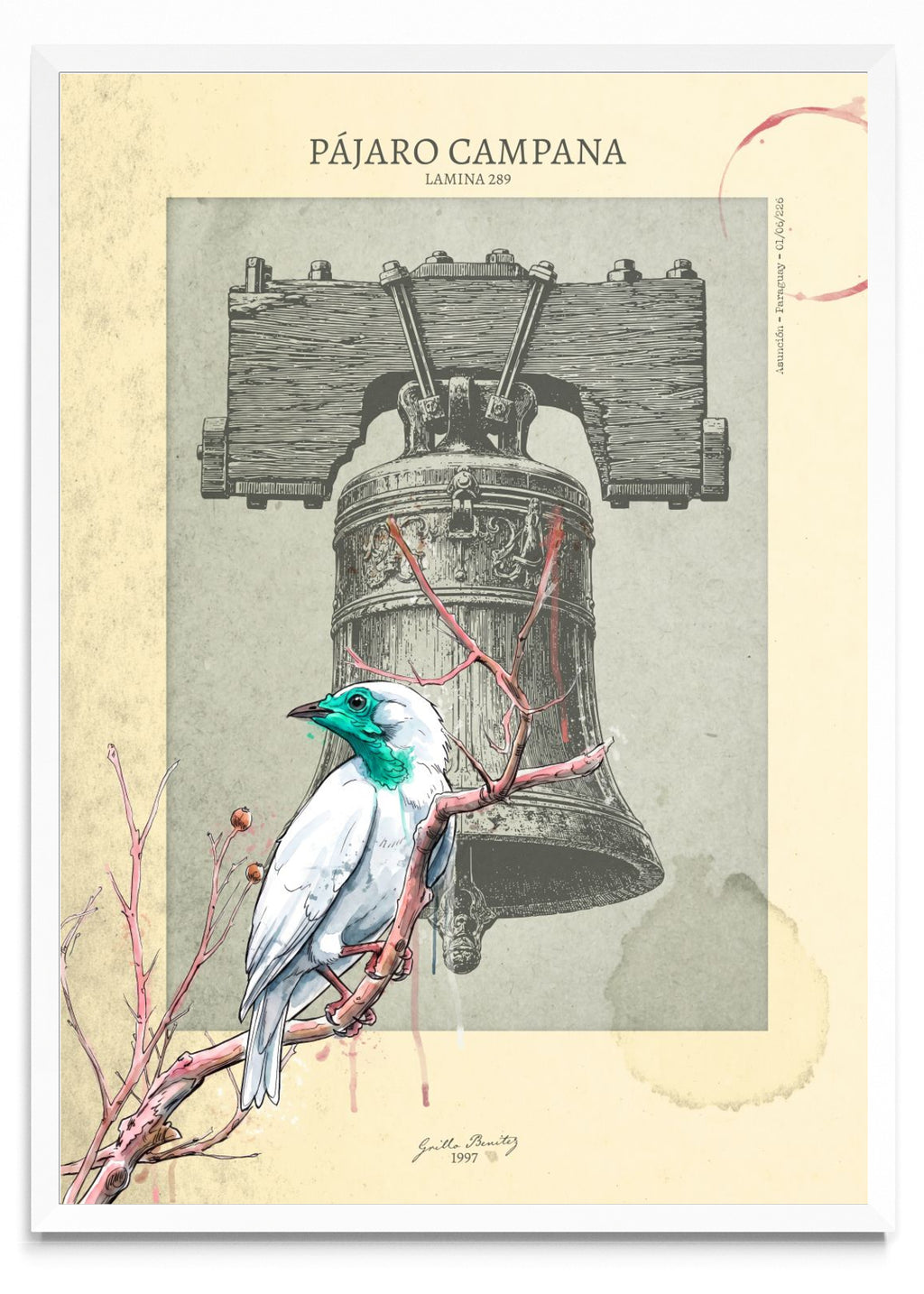 Pájaro Campana — Lámina 289 - Retrato BL