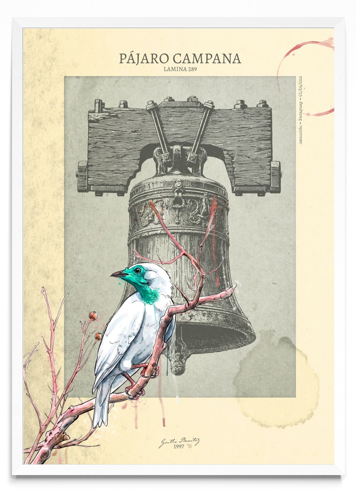 Pájaro Campana — Lámina 289 - Retrato BL