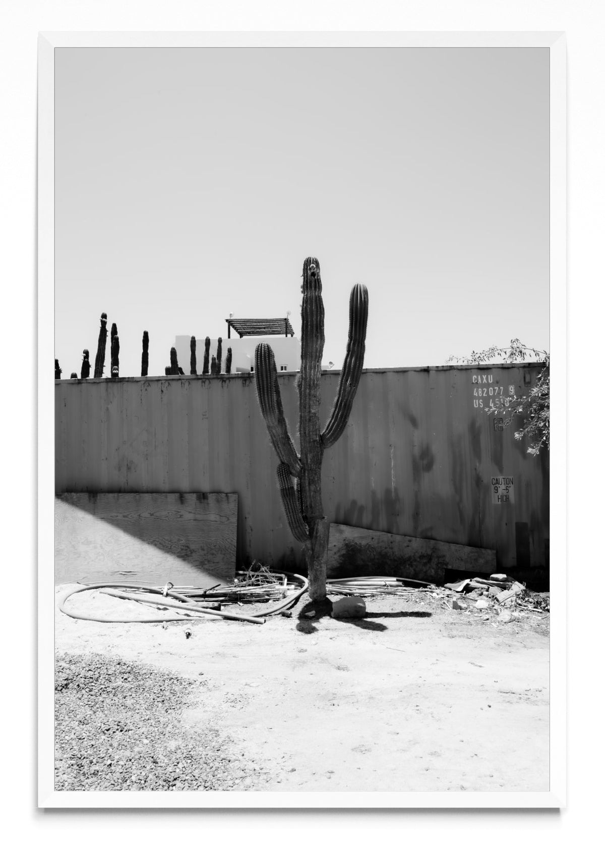 Cerritos, Baja California Sur, México - FotoV BL