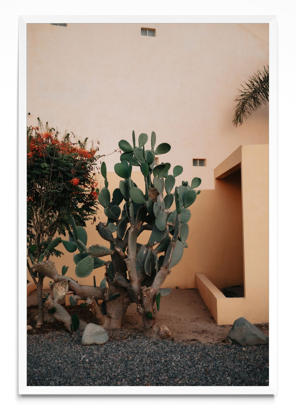 Cerritos, Baja California Sur, México - FotoV BL