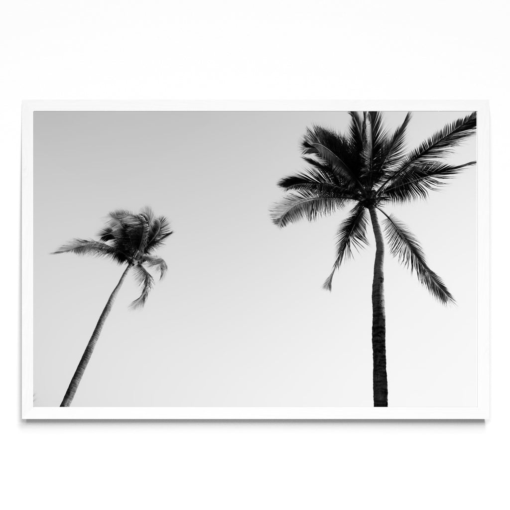 Sayulita Palms. Nayarit, México. - FotoH BL