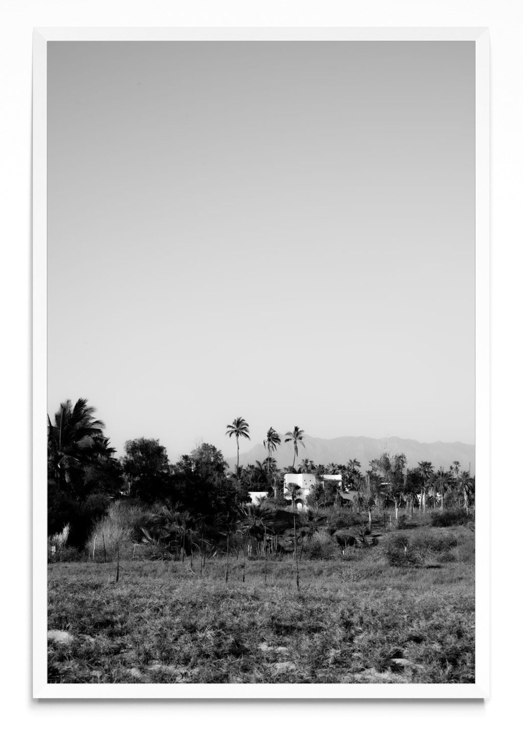 Todos Santos, Baja California Sur, México. - FotoV BL