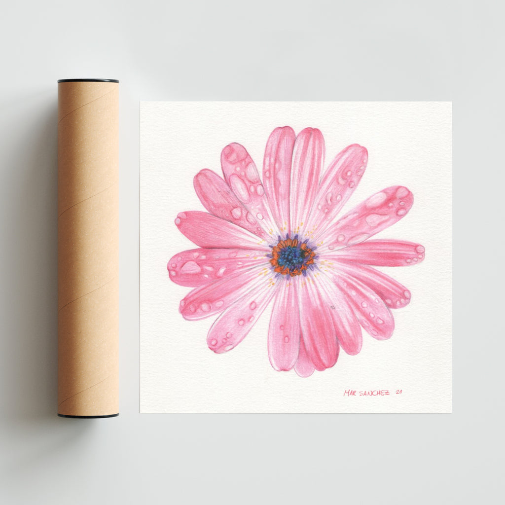 Dimorfoteca - Cuadrado solo print