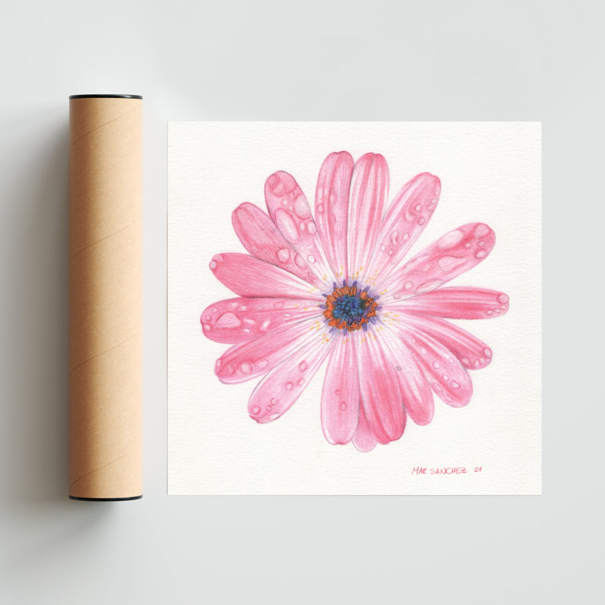 Dimorfoteca - Cuadrado solo print