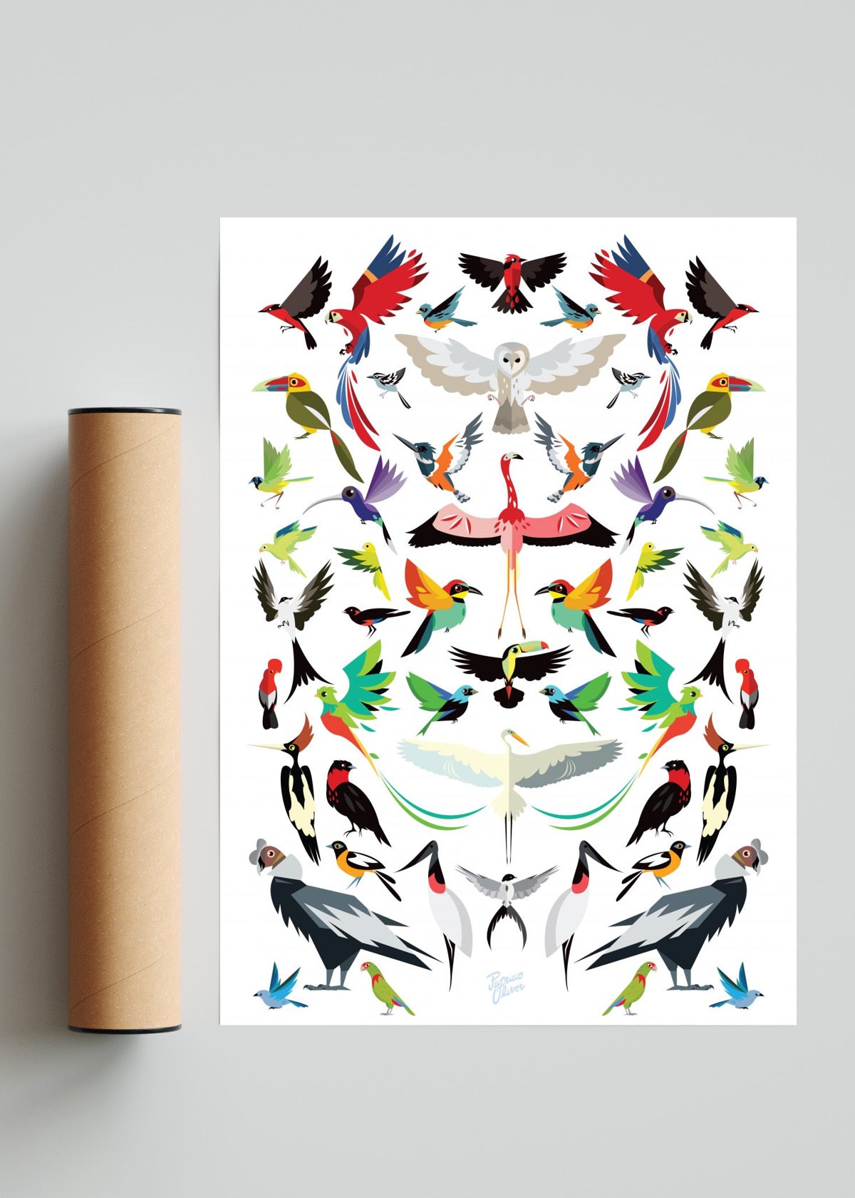 Aves de latino América - Retrato solo print