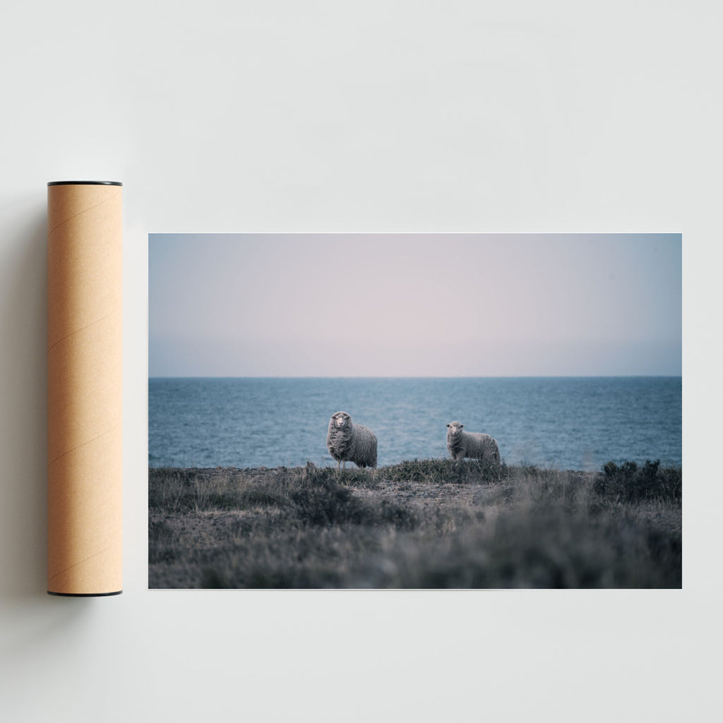 A la distancia - FotoH solo print
