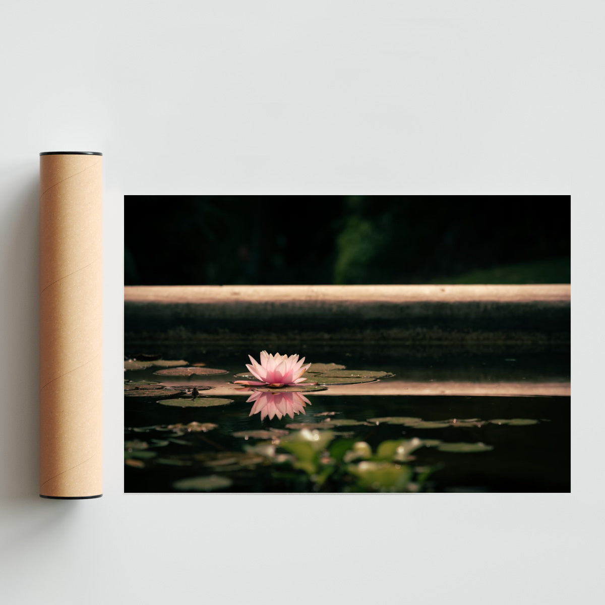 Flor en la superficie - FotoH solo print