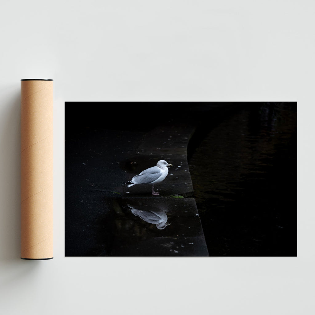 El pensamiento - FotoH solo print