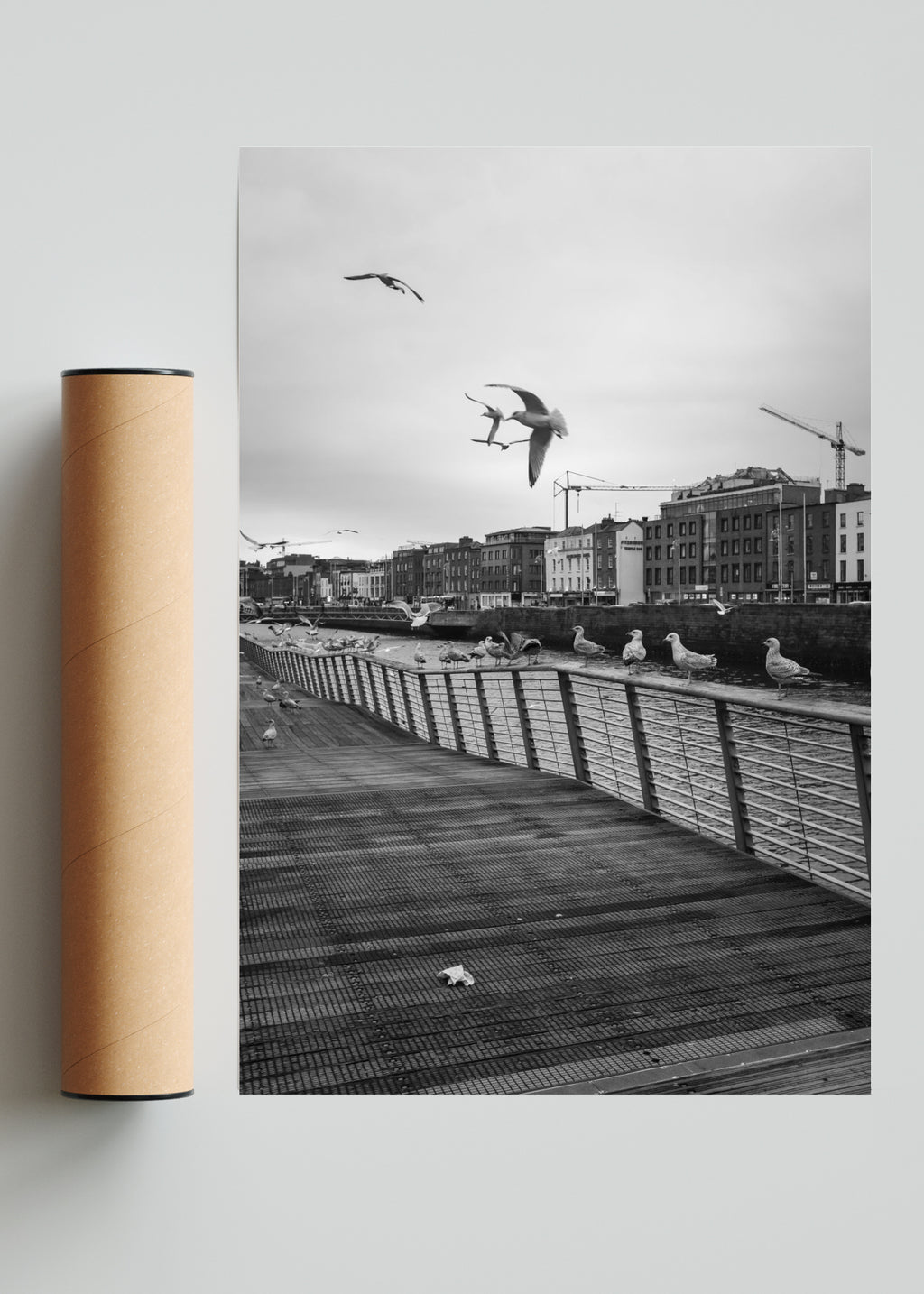 Instante en vuelo - FotoV Solo print