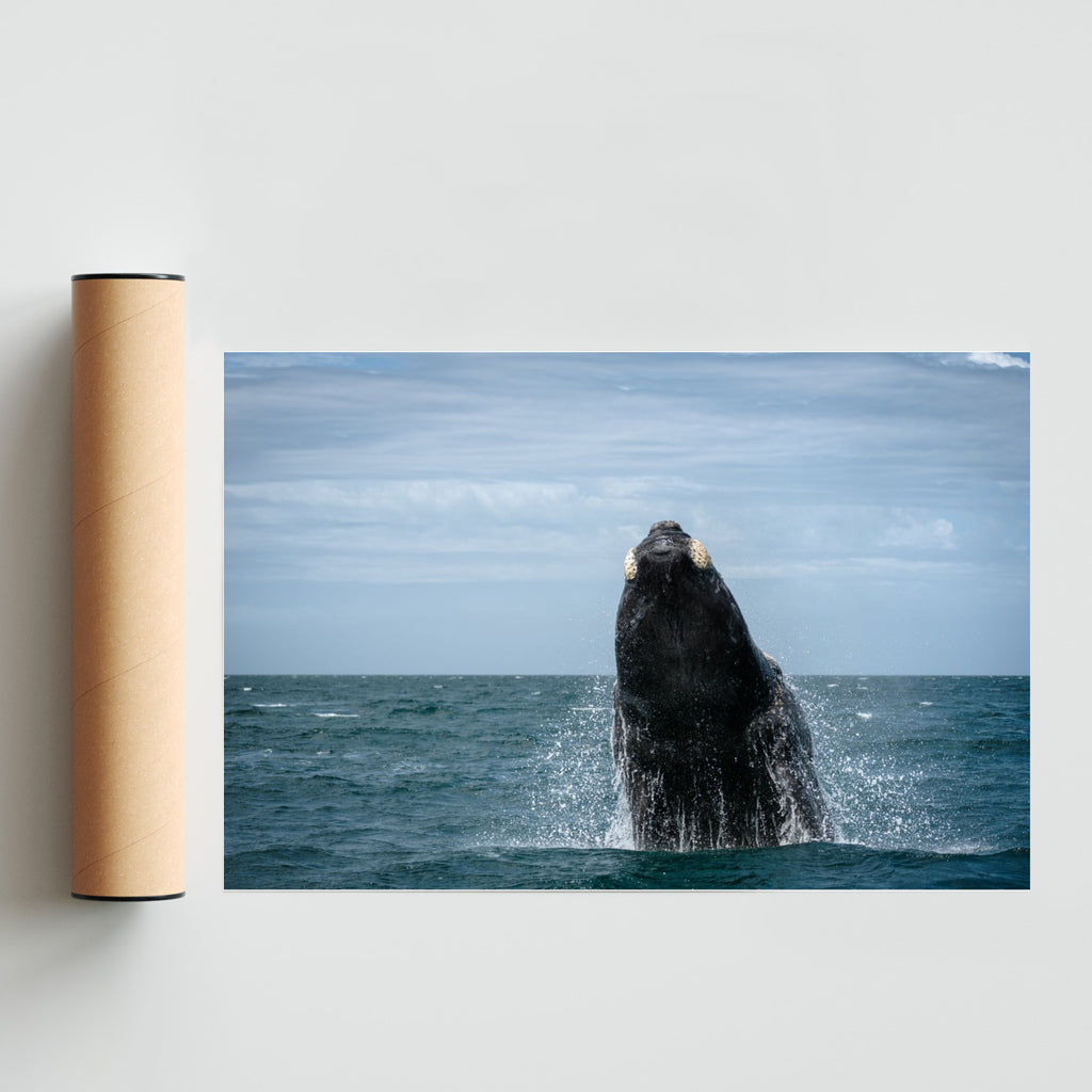 Salto exacto - FotoH solo print