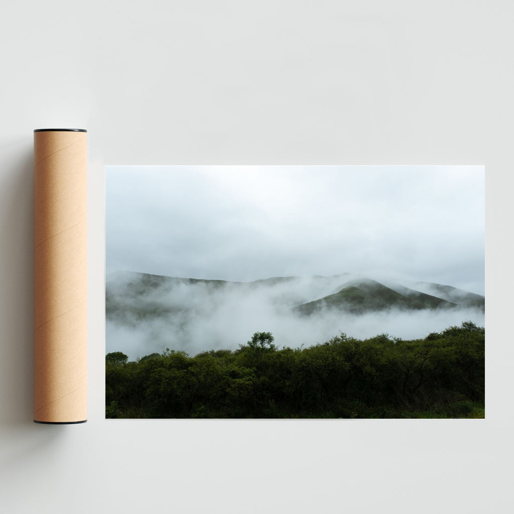 Nubes entre árboles - FotoH solo print