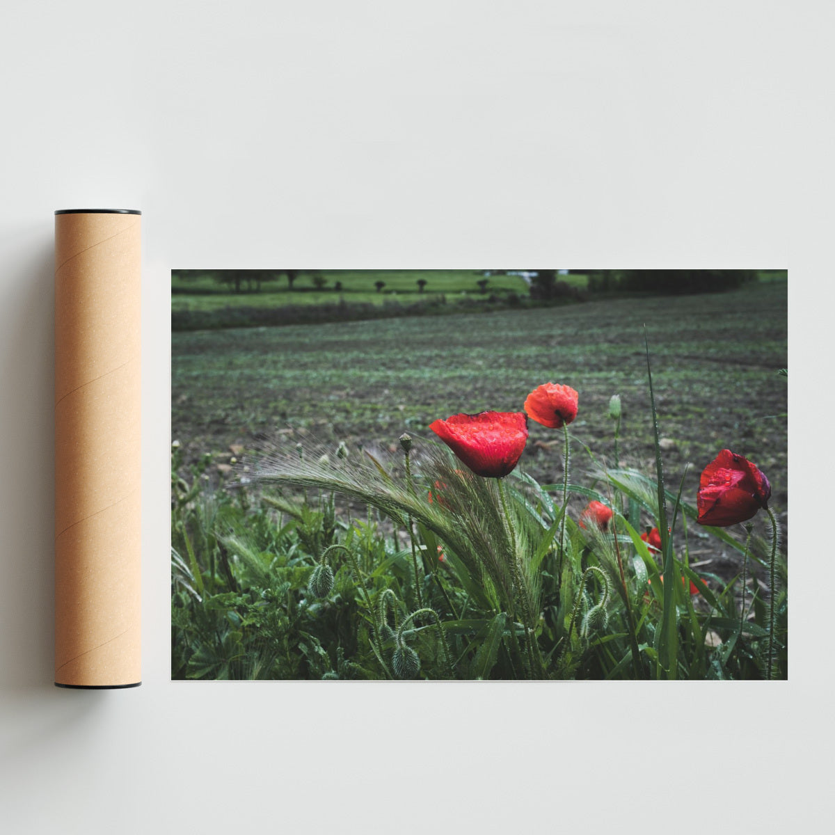 Contraste - FotoH solo print