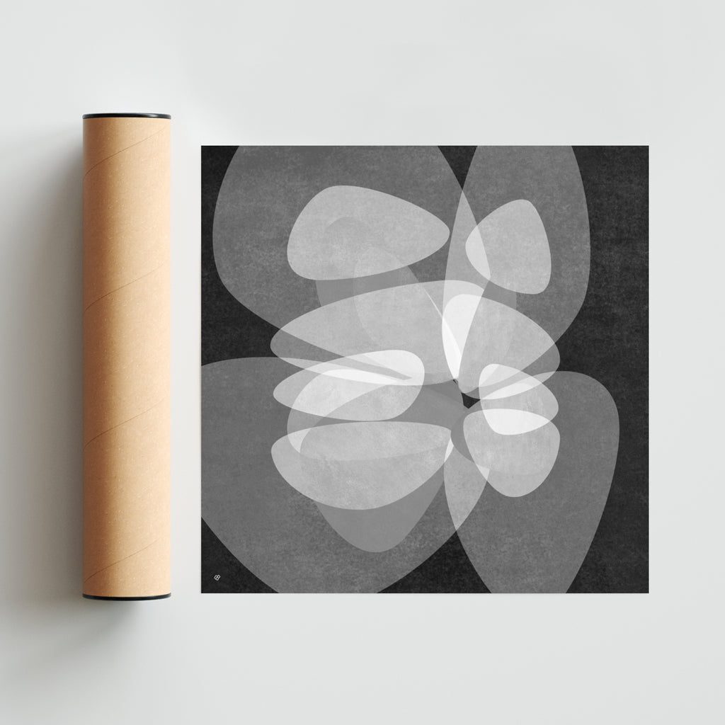 Diaphanous QK 4 - Cuadrado solo print