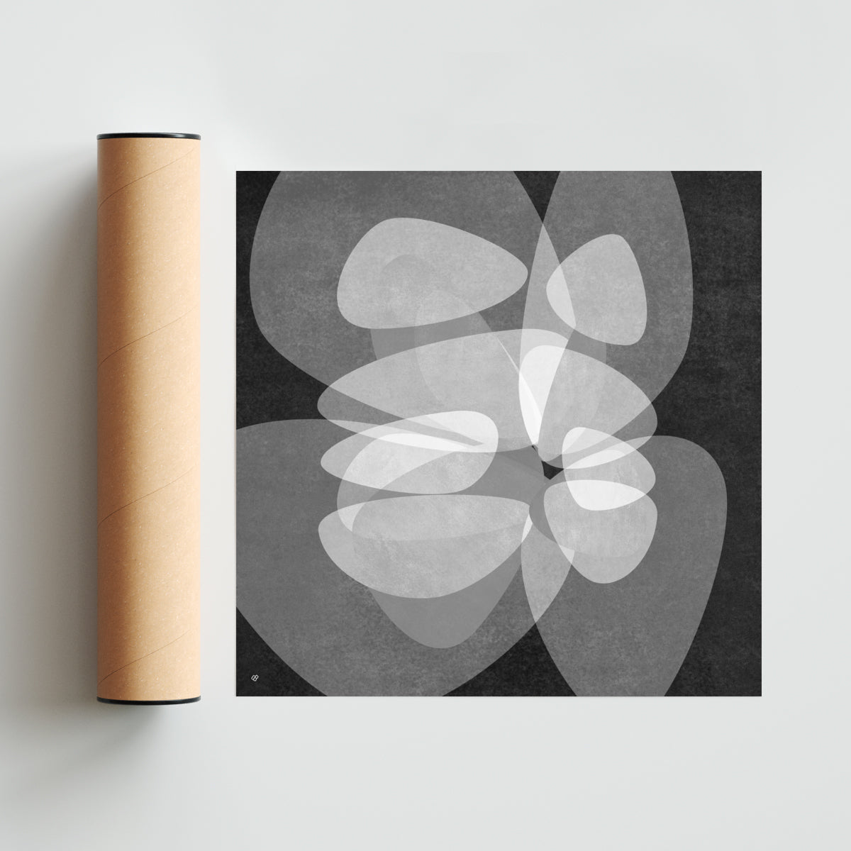Diaphanous QK 4 - Cuadrado solo print