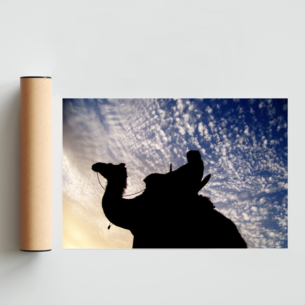 Sombras de Tuareg - FotoH solo print