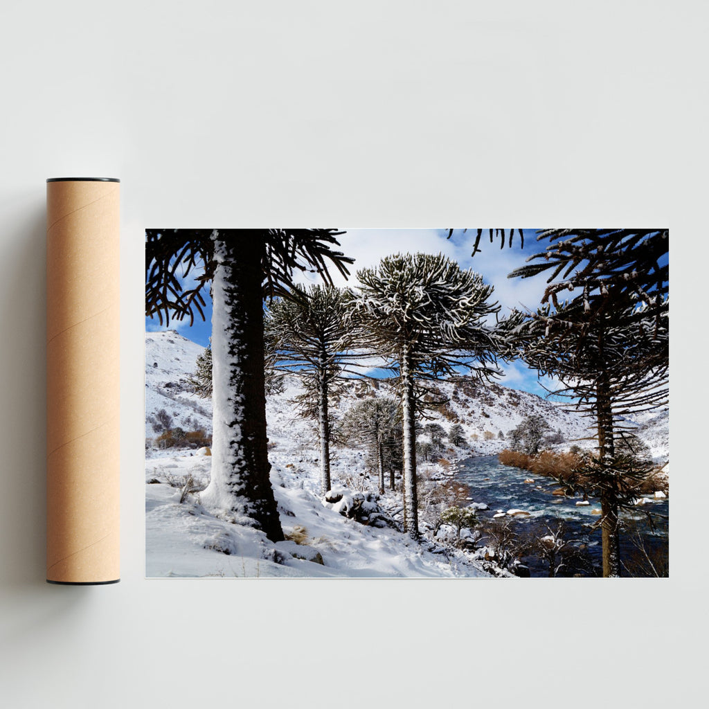 Nieves patagónicas - FotoH solo print