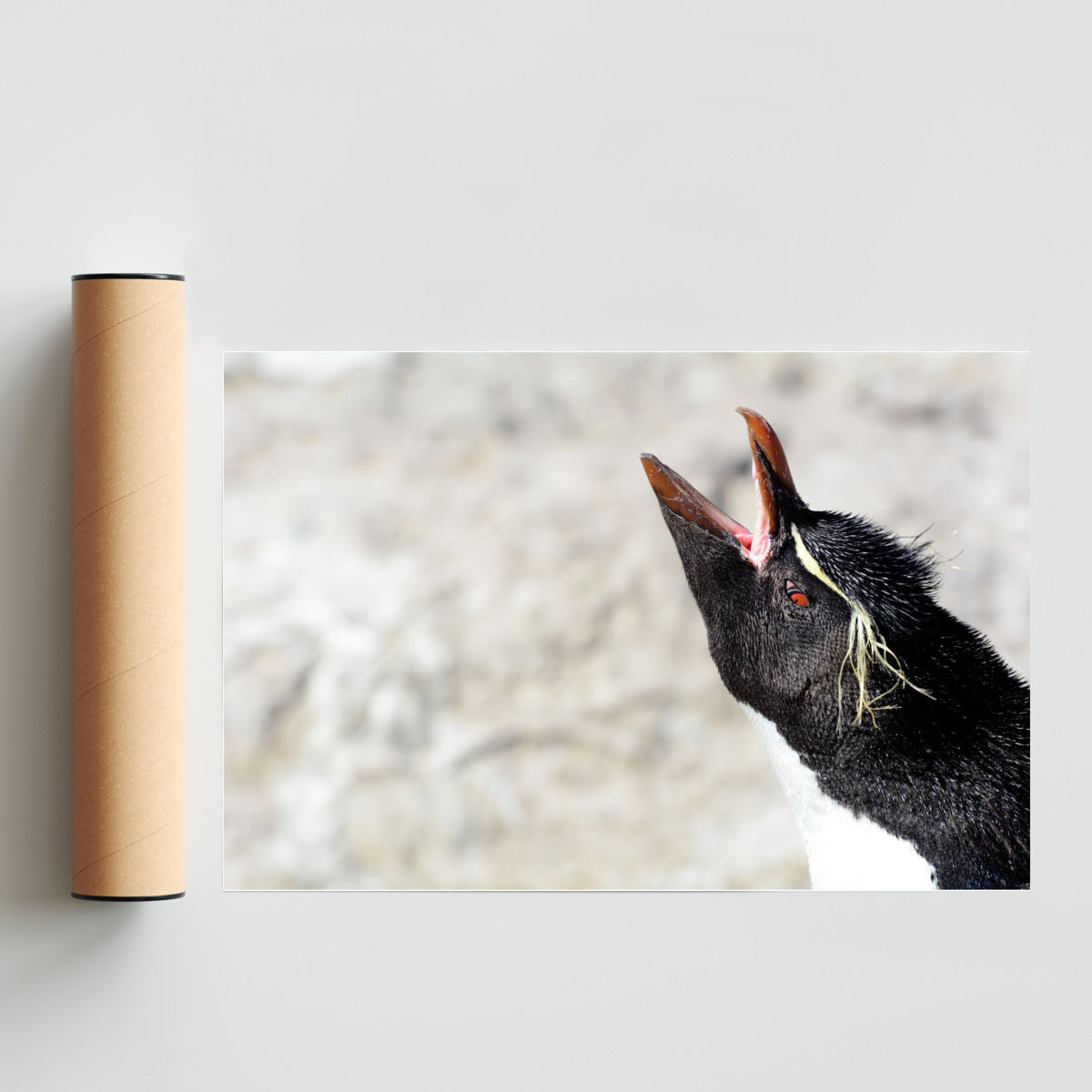 El grito del Penacho - FotoH solo print