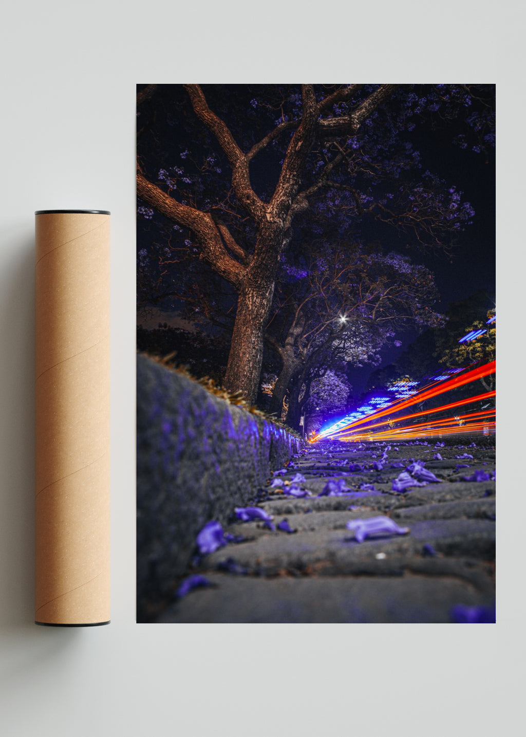 Jacarandá y luces - FotoV Solo print