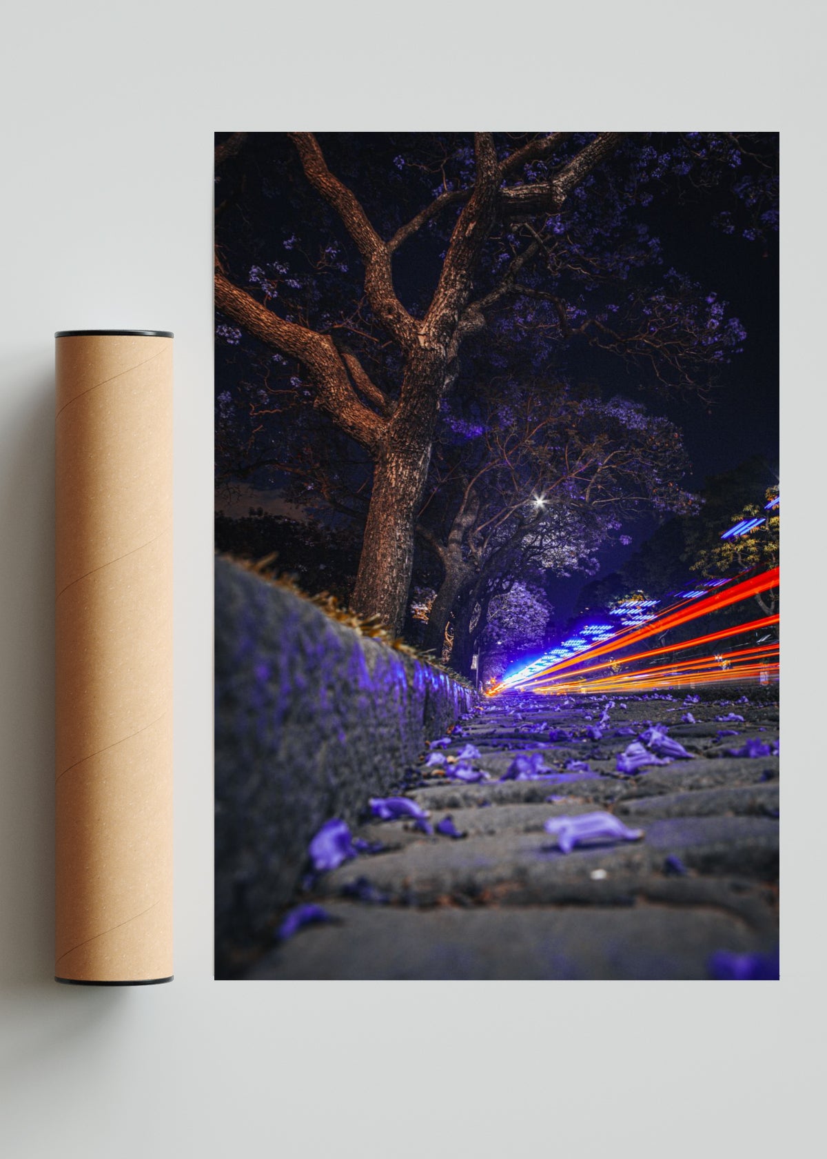 Jacarandá y luces - FotoV Solo print