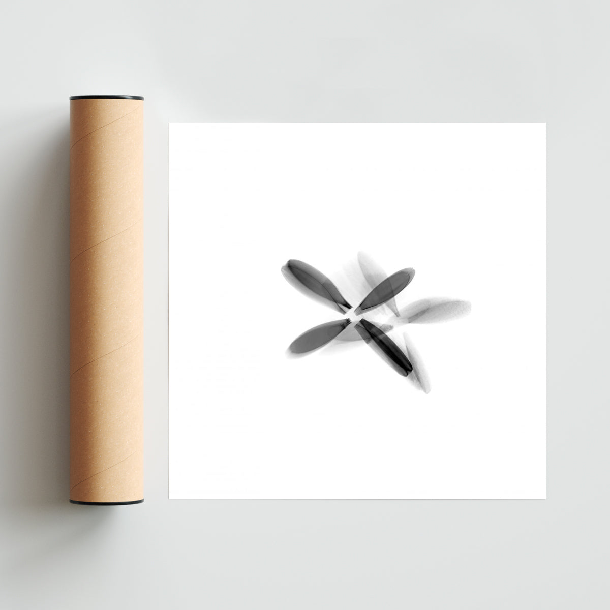 FLOR NEGRA (Serie VICEVERSA) - Cuadrado solo print