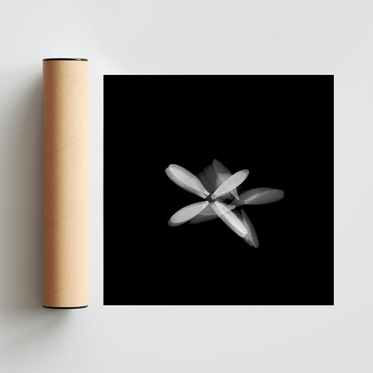 Flor blanca (Serie VICEVERSA) - Cuadrado solo print